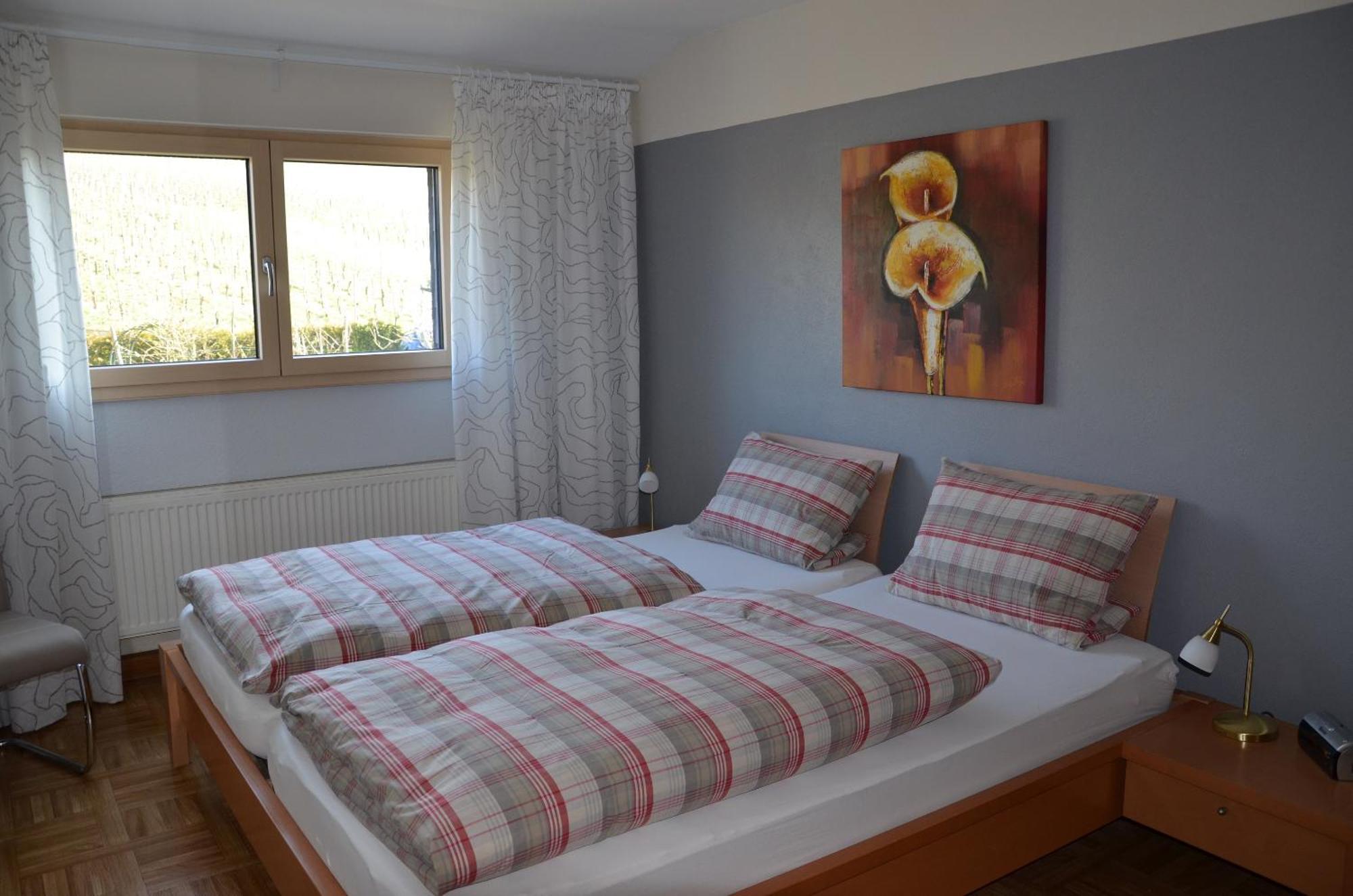 Stuelb Apartment Zeltingen-Rachtig